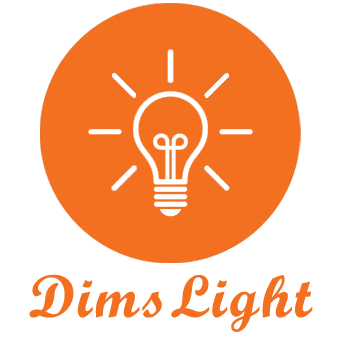 DimsLight Logo